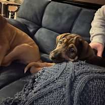 Thumbnail photo of Lina #4