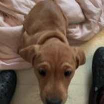 Thumbnail photo of Gracelynn #2