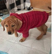 Thumbnail photo of Gracelynn #3