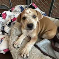 Thumbnail photo of Anne #1