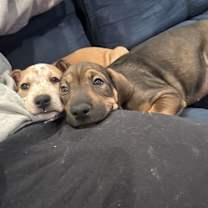 Thumbnail photo of Anne #2