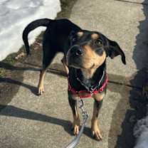 Thumbnail photo of Stella #2