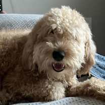 Thumbnail photo of Dylan #2