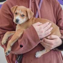 Thumbnail photo of Ruth #2