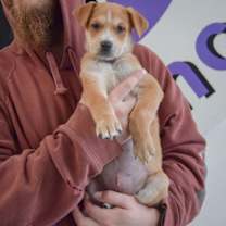 Thumbnail photo of Ruth #4