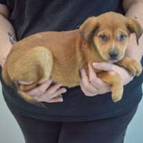 Thumbnail photo of Pauly #2