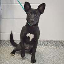 Thumbnail photo of Claire #2