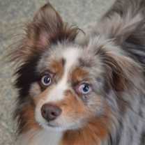 Thumbnail photo of Blizzard #1