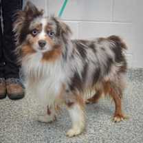 Thumbnail photo of Blizzard #2