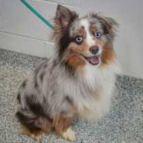 Thumbnail photo of Blizzard #3