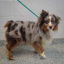 Thumbnail photo of Blizzard #4