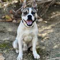 Thumbnail photo of Cowboy #2