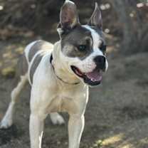 Thumbnail photo of Cowboy #3