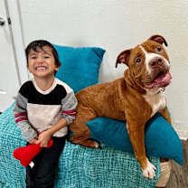 Thumbnail photo of Guppy delivers giggles #3