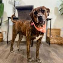 Thumbnail photo of Uncle Joe Steady Eddie #3