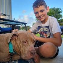 Thumbnail photo of Xena gorgeous and gentle girly #4