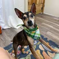 Thumbnail photo of Gramps #4