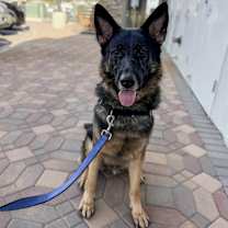 Thumbnail photo of Radar #1