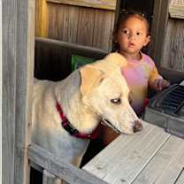 Thumbnail photo of Rory right on time tv watching family girl #3