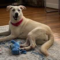 Thumbnail photo of Rory right on time tv watching family girl #4