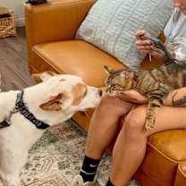 Thumbnail photo of Ranchito Dorito the most chill dude #4