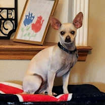 Thumbnail photo of Rowena #1