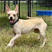 Thumbnail photo of Rowena #3