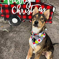 Thumbnail photo of Your Huckleberry Heart #3