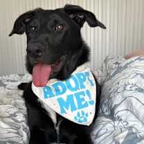 Thumbnail photo of Pantera Hebert #3