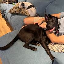 Thumbnail photo of Pantera Hebert #4