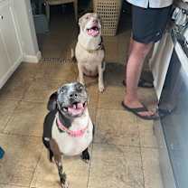 Thumbnail photo of Betsy Blue #4