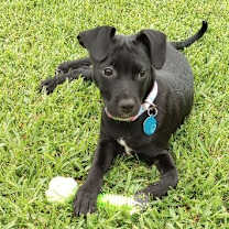 Thumbnail photo of Margie Ark #2