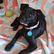 Thumbnail photo of Margie Ark #3