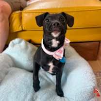 Thumbnail photo of Margie Ark #4