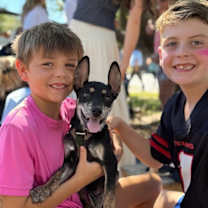 Thumbnail photo of Braeburn Apple #3