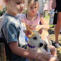 Thumbnail photo of Jonagold Apple #2