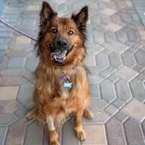 Thumbnail photo of Shylee #1