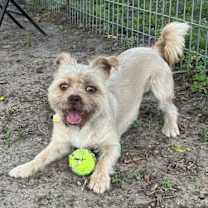 Thumbnail photo of Tim Bits #1