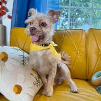 Thumbnail photo of Tim Bits #3