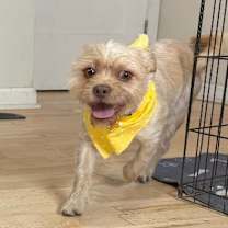 Thumbnail photo of Tim Bits #4