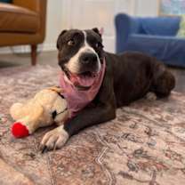 Thumbnail photo of Mabel Loves Stuffies #1