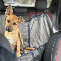 Thumbnail photo of Mally Baker Cleveland #2