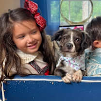 Thumbnail photo of Cookie Muffin #1