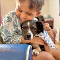 Thumbnail photo of Cookie Muffin #4