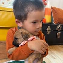 Thumbnail photo of Alesie Cutie Alaskan #2