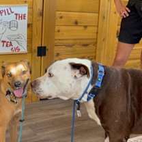 Thumbnail photo of Paco Perfect #3