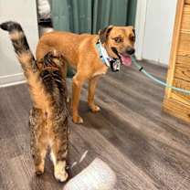 Thumbnail photo of Paco Perfect #4