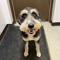 Thumbnail photo of River aka Winnie #2