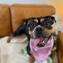 Thumbnail photo of Iris Moon #1