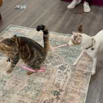 Thumbnail photo of Stevie Wonder #3